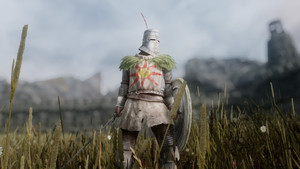Sunlight Warrior Armor