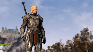 Chevalier's Armor Set