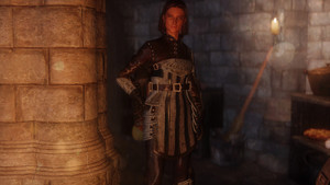 Gray Warden Armor