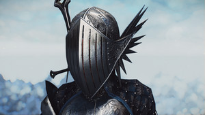 Kozakowy's Falka Armor