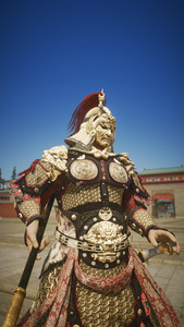 Dragon and Tiger Emperor Armor