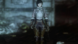 Countess Armor