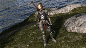 Chevalier's Armor Set