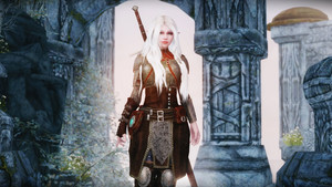 Ciri Concept Art Armor