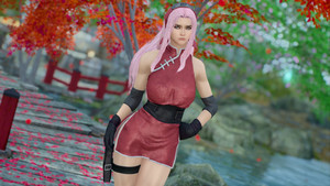 Sakura Outfit