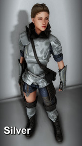 Wayward Ranger Armor