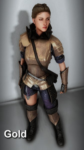 Wayward Ranger Armor