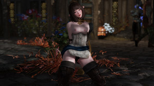 Dragon Age Isabella Outfit