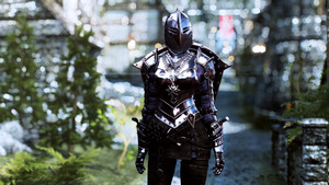 DX Dark Knight Armor