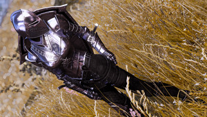 DX Dark Knight Armor