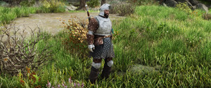 Gryphonknight Regalia - Breton Noble Armor